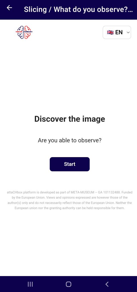 Opening screen of the Slicing activity: the heading "Discover the image", the question "Are you able to observe?" and a single Start button, with the EN language selector top right.